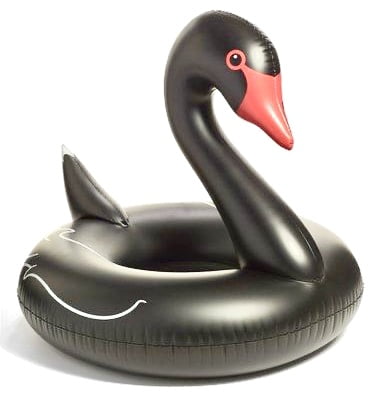 Flotador Porta Vaso Cisne Negro